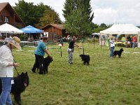 Zuchtgruppe Canis Lupos Pallipes